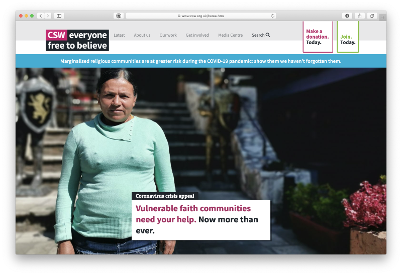 CSW website screengrab